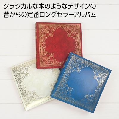 ナカバヤシ フエルアルバム ピセ アフ-502-B 紺の商品画像3枚目