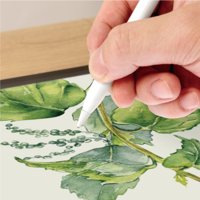 ナカバヤシ　アップルペンシル交換用ペン先／金属製ペン先　TPEN-PS05　(tm)の商品画像4枚目