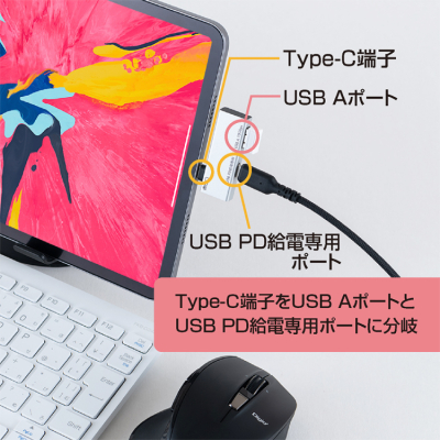 ナカバヤシ　Type-Cホストアダプタ　PD付き　USB－A／シルバー　SAD-CH06PSL　(tm)の商品画像5枚目