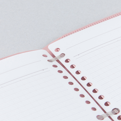 ナカバヤシ フラリーフ/ロジカル・フラットバインダーノート/A4/オールドピンク FLL-A401B-Pの商品画像3枚目