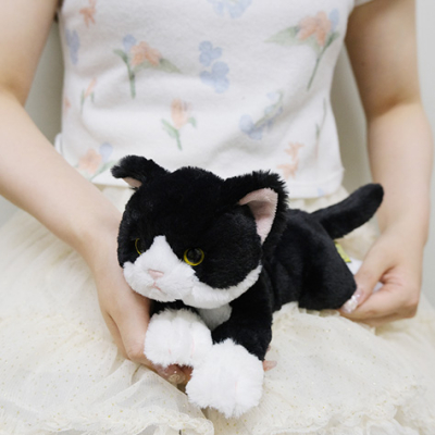 サンレモン ひざねこ SS ハチワレ P-1503 | ナカバヤシダイレクトショップ