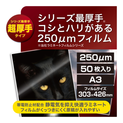 ナカバヤシ ラミネートフィルムE2 250μm 50枚入 A3 LPR-A3E2-25M (tm)の商品画像3枚目