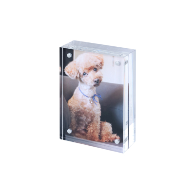 ナカバヤシ　アクリルマグネットフレーム／ハーフサイズプリント判　フ-ACM-LHの商品画像5枚目