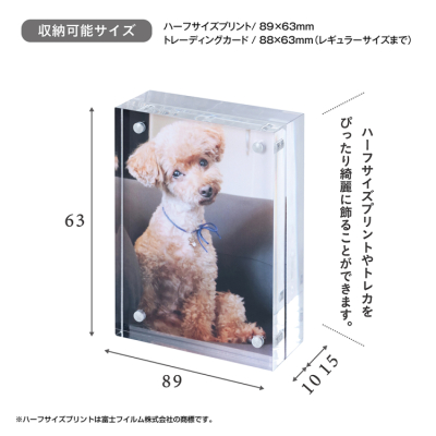 ナカバヤシ　アクリルマグネットフレーム／ハーフサイズプリント判　フ-ACM-LHの商品画像12枚目
