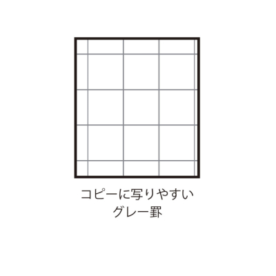 ナカバヤシ ロジカル・シンクノート・A3サイズ・ヨコ 天ノリタイプ 方眼5mmブラック・グレー罫 RP-A301-DNの商品画像2枚目