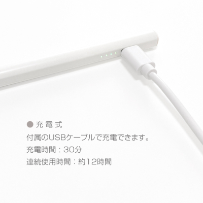 ナカバヤシ iPad専用充電式タッチペン<金属製ペン先タイプ>/ホワイト TPEN-006W (tm)の商品画像6枚目
