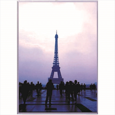 アルテ　イレパネビューカバー　Ｂ3　シルバー　STBC-B3-SV