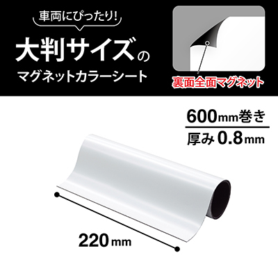 マグネットカラーシート強力