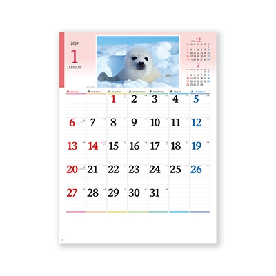 【100冊 名入れ代込】新日本カレンダー かわいい動物たち NK104