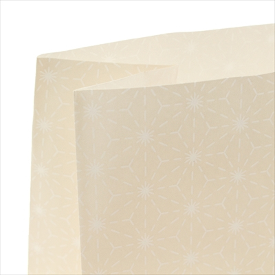 パックタケヤマ　紙袋 マチアリ H200 ほのか 100枚