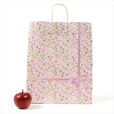 パックタケヤマ 紙袋 手提 HZ 紫花(アイカ) 50枚