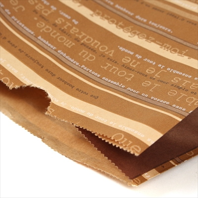 パックタケヤマ 紙袋 マチアリ H4 アンサンブル 100枚