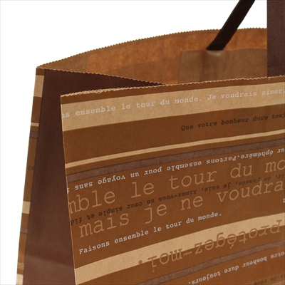 パックタケヤマ 紙袋 手提 H平32 アンサンブル 50枚