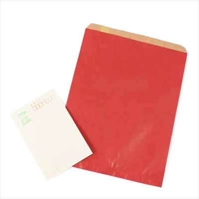 パックタケヤマ　紙袋 マチナシ F21 ルージュ