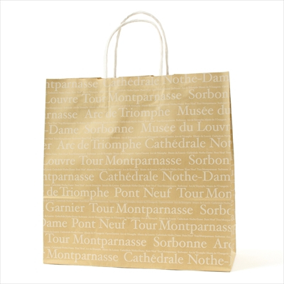 パックタケヤマ 紙袋 手提 HX フランセ