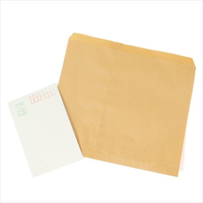 パックタケヤマ 紙袋 マチナシ 小分ケ ES 平別1