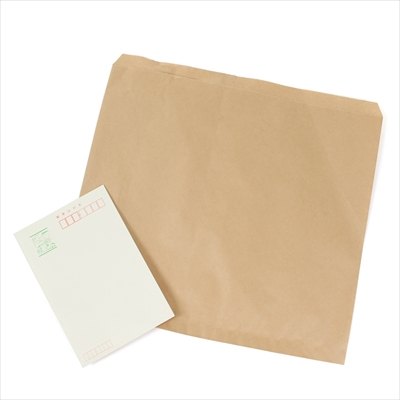 パックタケヤマ 紙袋 マチナシ 小分ケ クラフト大