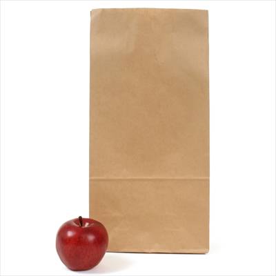 パックタケヤマ　紙袋 マチアリ H16 未晒 無地