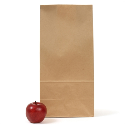 パックタケヤマ 紙袋 マチアリ H25 未晒 無地
