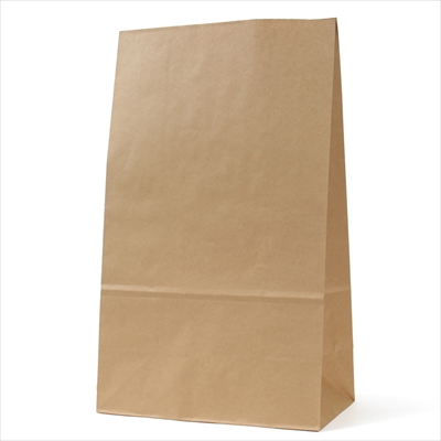 パックタケヤマ 紙袋 マチアリ H50 未晒 無地