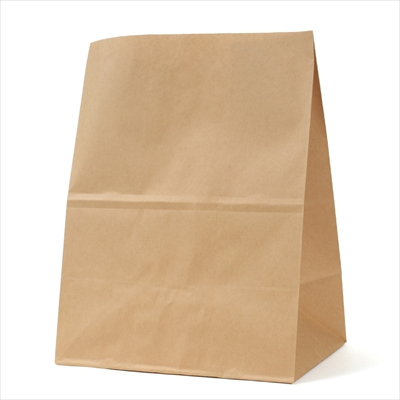 パックタケヤマ 紙袋 マチアリ H500 未晒 無地
