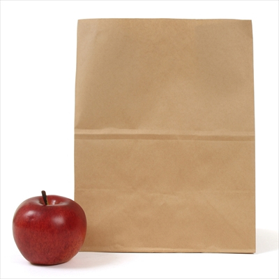 パックタケヤマ 紙袋 マチアリ H500 未晒 無地