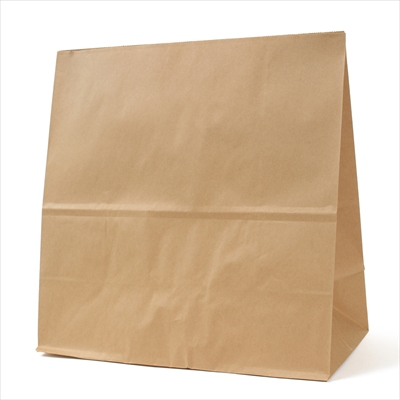 パックタケヤマ　紙袋 マチアリ H1000 未晒 無地