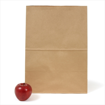 パックタケヤマ 紙袋 マチアリ H1200 未晒 無地