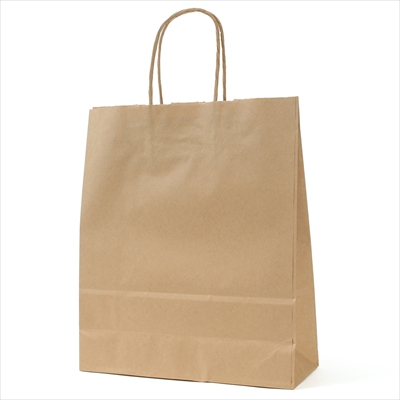 パックタケヤマ 紙袋 手提 HBT 未晒 無地