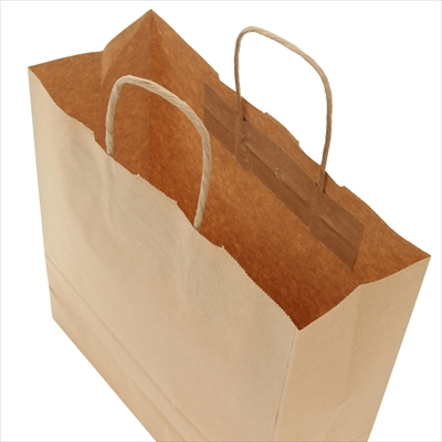 パックタケヤマ 紙袋 手提 HBT 未晒 無地