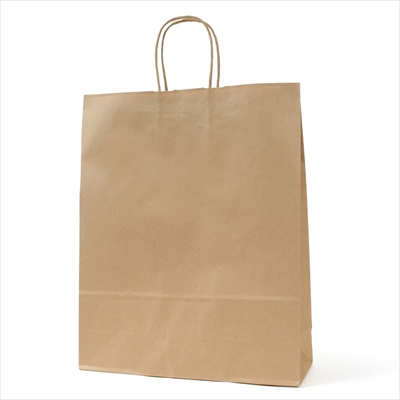 パックタケヤマ 紙袋 手提 HZ 未晒 無地