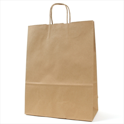 パックタケヤマ　紙袋 手提 HV70 未晒 無地