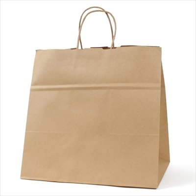 パックタケヤマ　紙袋 手提 HV85 未晒 無地