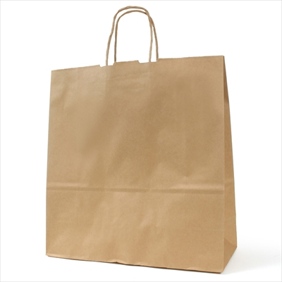 パックタケヤマ　紙袋 手提 HV100S 未晒 無地