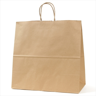 パックタケヤマ 紙袋 手提 HV150 未晒 無地