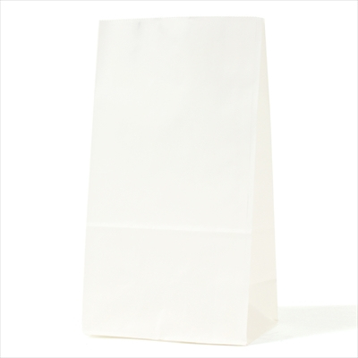 パックタケヤマ　紙袋 マチアリ H4 晒 無地