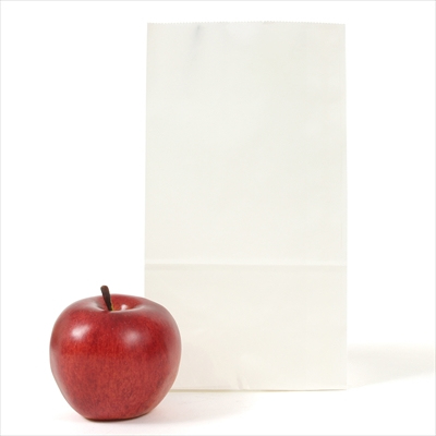 パックタケヤマ　紙袋 マチアリ H4 晒 無地