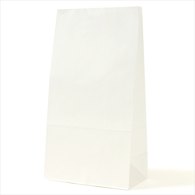 パックタケヤマ　紙袋 マチアリ H6 晒 無地