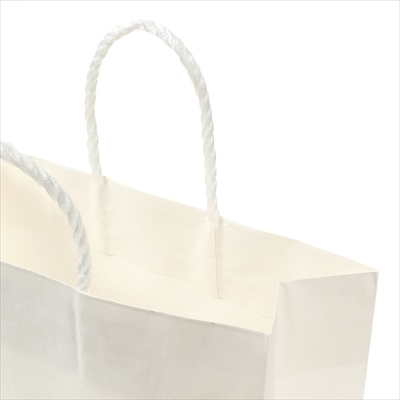 パックタケヤマ 紙袋 手提 2才 白無地