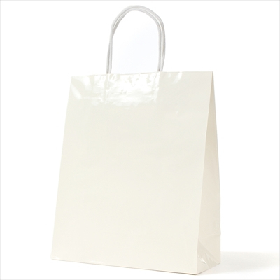 パックタケヤマ　紙袋 手提 STB プリティ 白