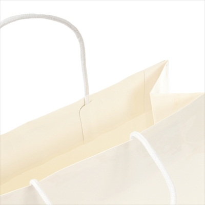 パックタケヤマ　紙袋 手提 STB プリティ 白