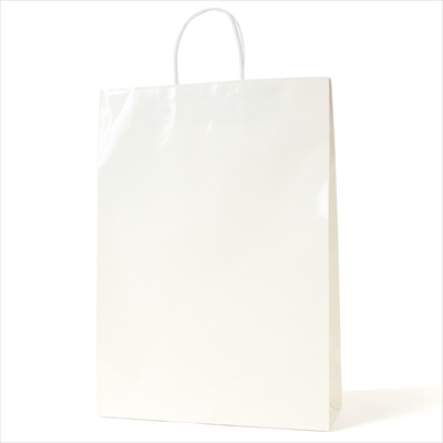 パックタケヤマ　紙袋 手提 ST2才 プリティ 白