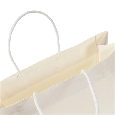 パックタケヤマ　紙袋 手提 ST2才 プリティ 白