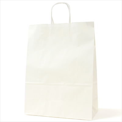パックタケヤマ 紙袋 手提 HV70 晒 無地