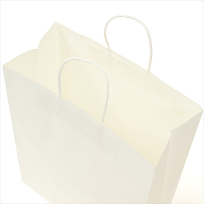 パックタケヤマ 紙袋 手提 HV70 晒 無地