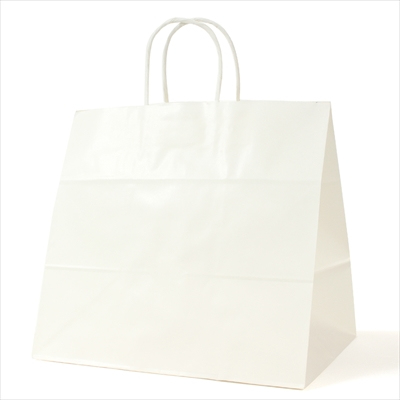 パックタケヤマ　紙袋 手提 HV75 晒 無地