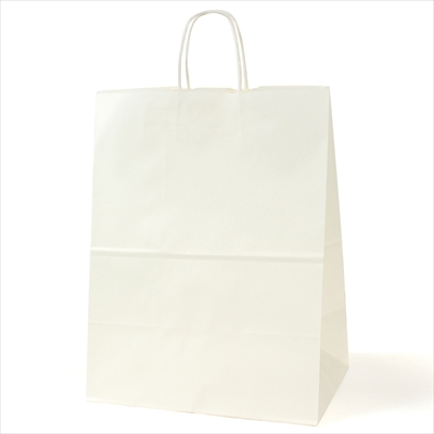 パックタケヤマ 紙袋 手提 HV80 晒 無地
