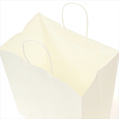 パックタケヤマ 紙袋 手提 HV80 晒 無地