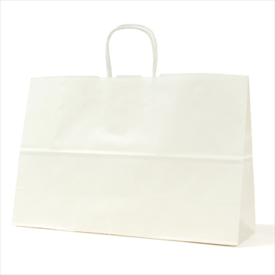 パックタケヤマ 紙袋 手提 HV120 晒 無地