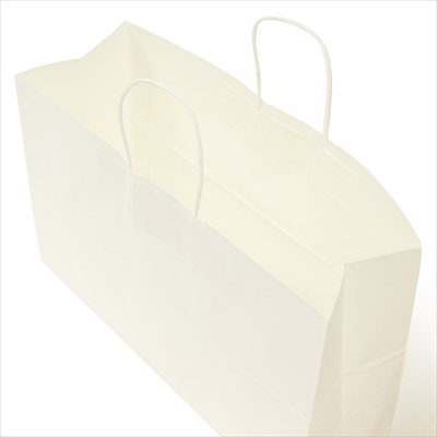 パックタケヤマ 紙袋 手提 HV120 晒 無地